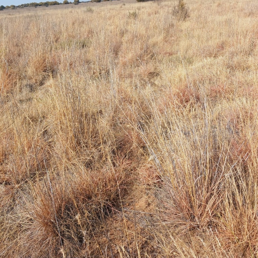  Bedroom Property for Sale in Bloemhof Rural North West